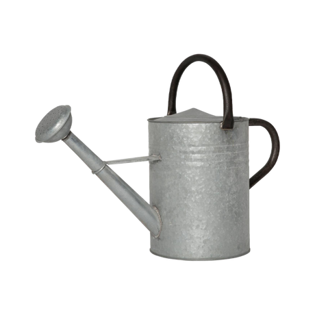 Vandkande med spreder 11 l zink