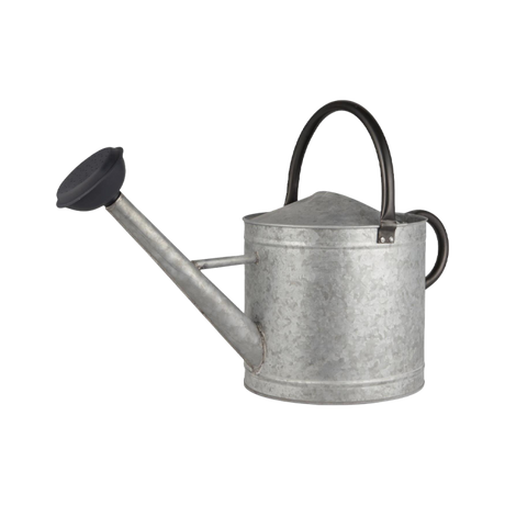 Vandekande i zink 9l