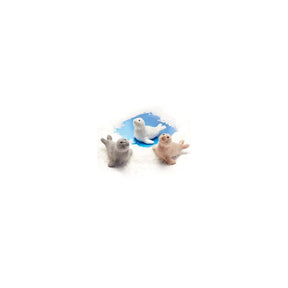 Sæl