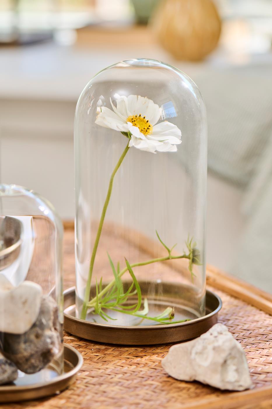 Lysbakke med kant med blomst og glasklokke over
