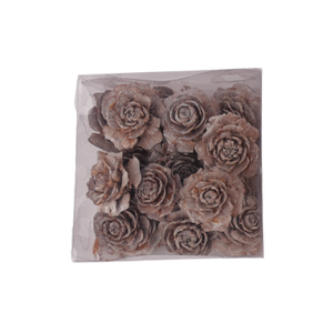 Kogleroser cedertræ med wire til dekorationer i frostet look