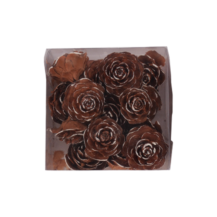 Kogleroser cedertræ med wire til dekorationer med lidt sne