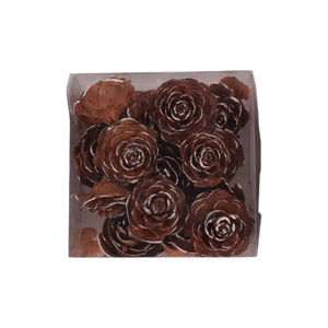 Kogleroser cedertræ med wire til dekorationer med lidt sne