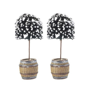 Opstammet buskbom i tønde 2-pak