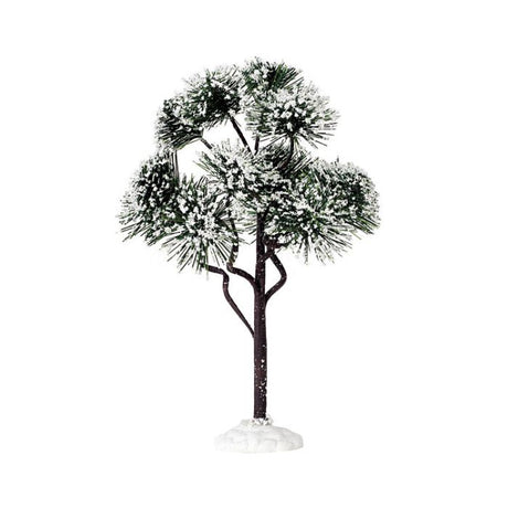 Mountain Pine Large