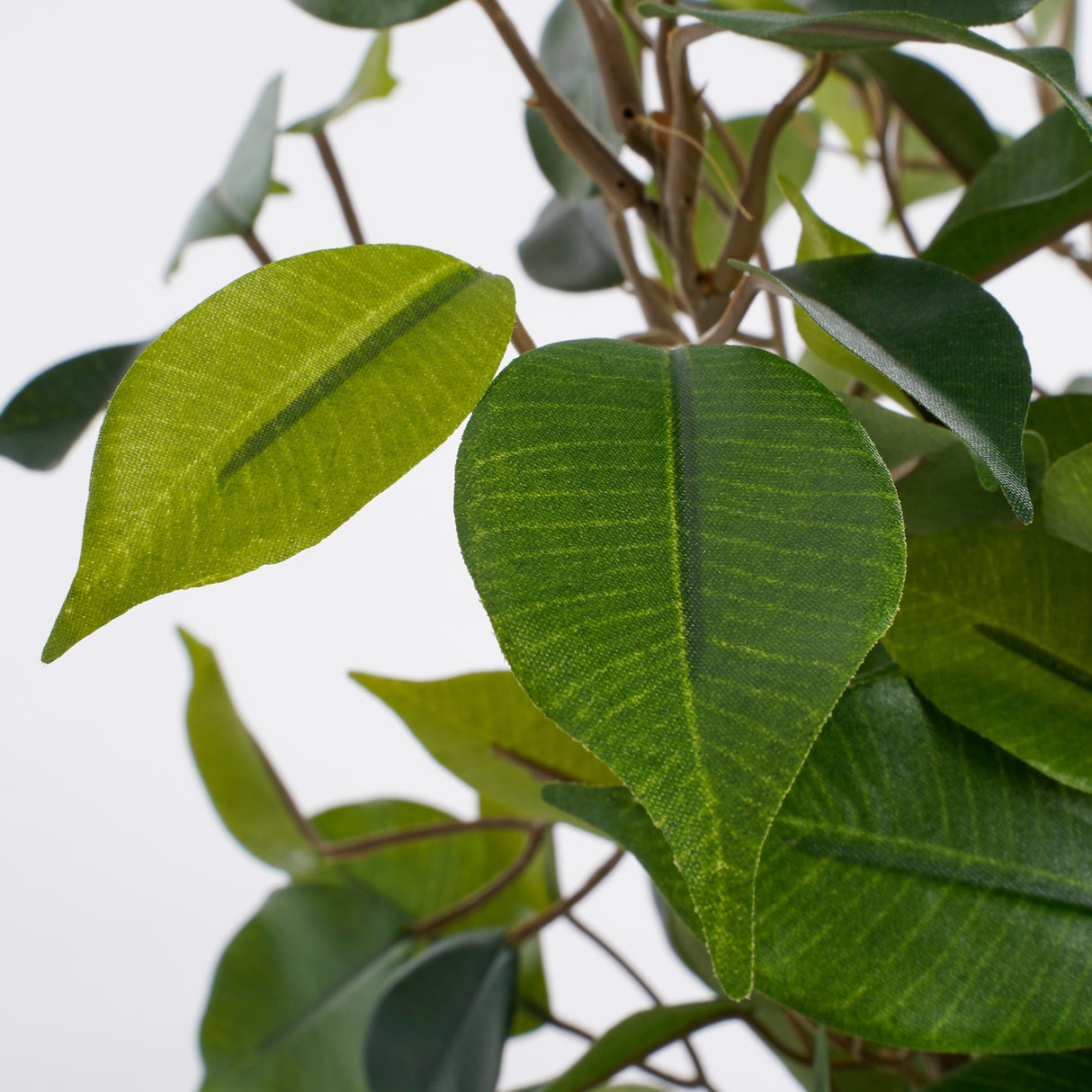 De grønne blade på Ficus Natasja plante kunstig fra Mica Decorations