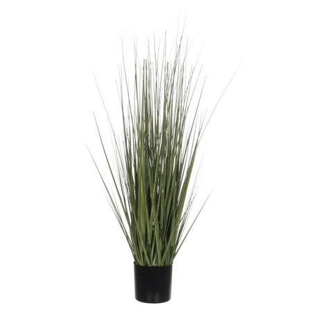 Græsser 92 cm høj