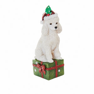 Hund eller katt med julklapp