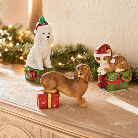 Hund eller katt med julklapp