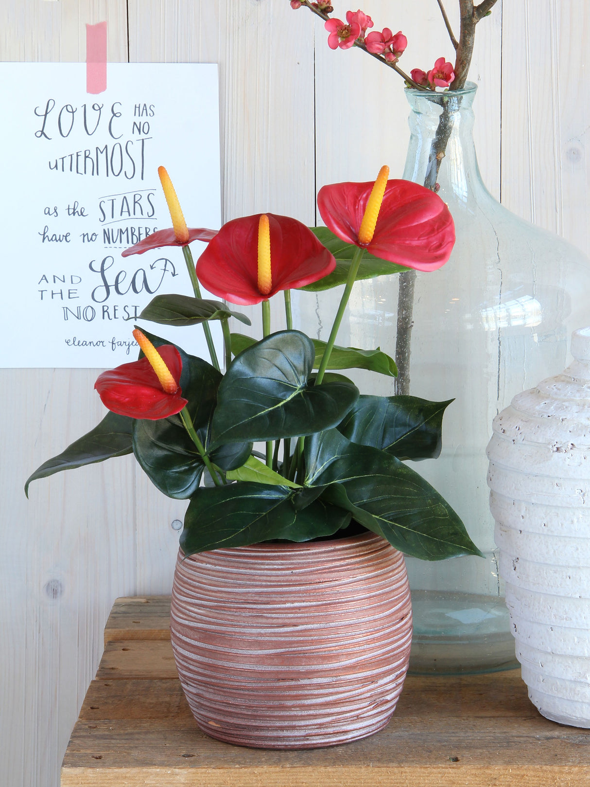 Kunstig Anthurium flamingoblomst med røde blomster i potteskjuler