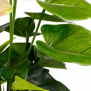 Anthurium flamingoblomst lyserød 40 cm høj
