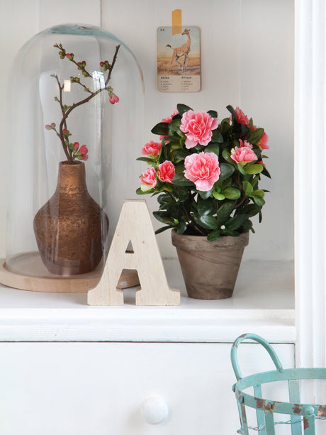 Glasklokke og kunstig azalea  ferskenfarvet