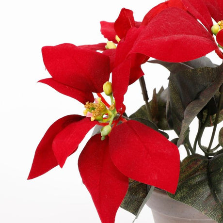 Rød julestjerne 25 cm høj