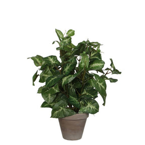 Syngonium plante kunstig