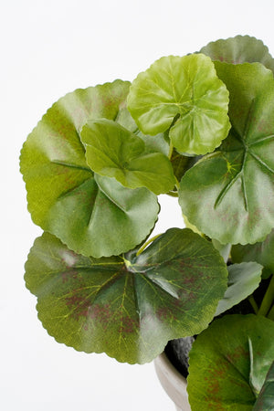 Grønne blade på kunstig pelargonie set tæt på