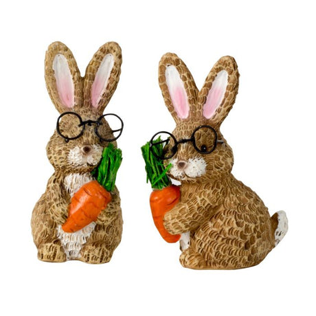 Hare med store briller og gulerod