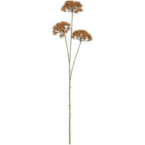 Blomsterstilk med 3 brune skærmblomster fra Ib Laursen