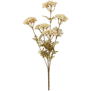 Blomsterstilk med 5 hvide skærmblomster fra Ib Laursen