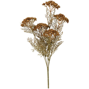 Blomsterstilk med 5 brune skærmblomster fra Ib Laursen