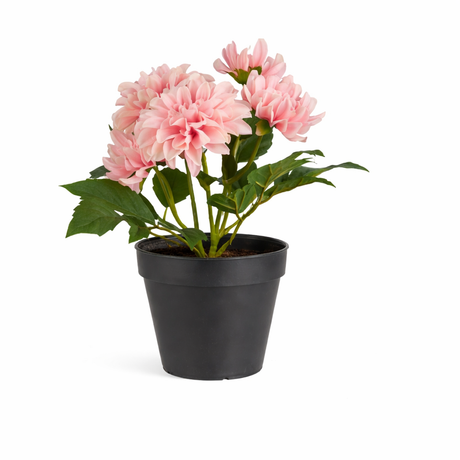 Kunstig lyserød Dahlia fra Ib Laursen i sort urtepotte
