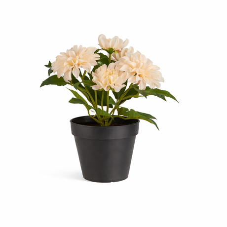 Kunstig råhvid Dahlia fra Ib Laursen i sort urtepotte