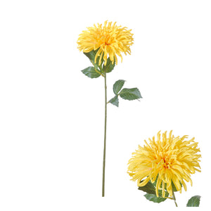 Gul Flower Stem Chrysanthemum