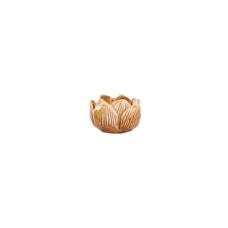 Ljusstake blomma