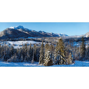 Stor baggrund med vinterby