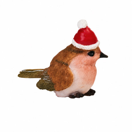Fågel med nissehatt