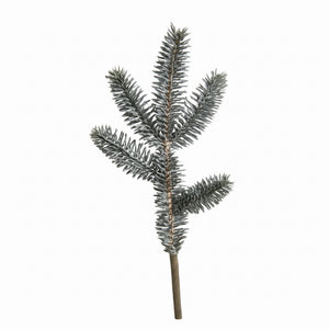 Grangrenar med frost 28 cm långa