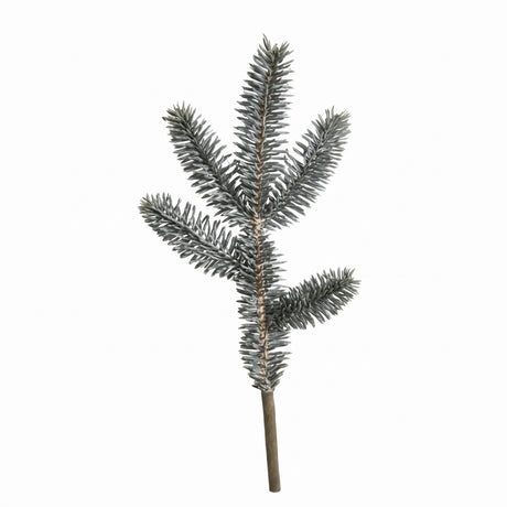 Grangrenar med frost 28 cm långa