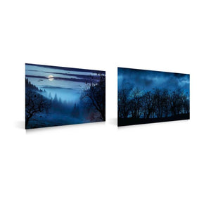 Baggrund med mørk skov  59 x 39