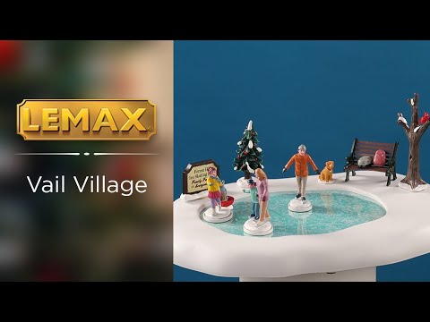 Familjens skridskodag