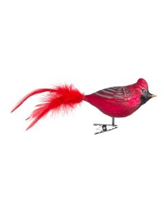 Röd kardinalfågel med klämma