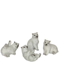 isbjörn Liggande