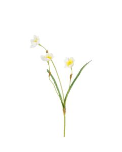 Blomstjälk med vitgula påskliljor 57 cm hög