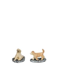 Luville Golden retriever valpar 2-pack