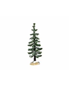 Blue Spruce Tree - Small