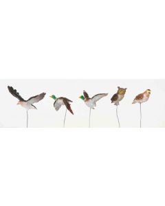 Assorted Birds, Set Of 5