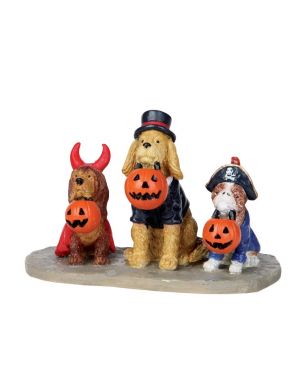 Trick Or Dog Treats