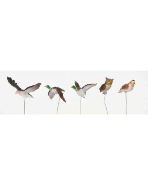 Assorted Birds, Set Of 5