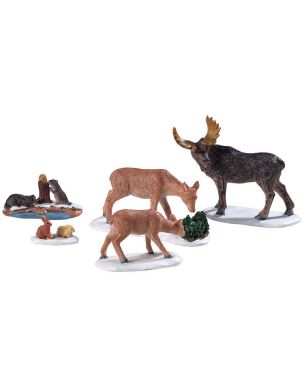 Wild Animals Set Of 5