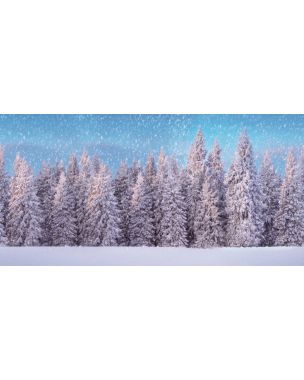 Stor bakgrund med snötäckt skog