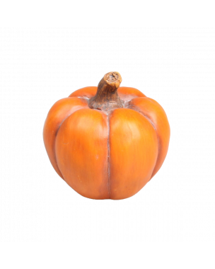 Pumpa orange